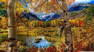 Fall Scenery Desktop Wallpaper Wallgc Com Perfect Autumn Scenery Hd Desktop High Definition 145736 Autumn Landscape Scenery Wallpaper Autumn Scenery