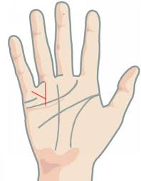 Maybe you would like to learn more about one of these? Palmistry Money Line In Hand Infoofni