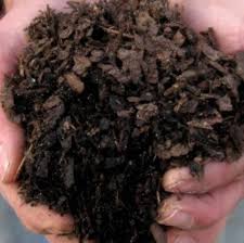 Check spelling or type a new query. Composted Pine Bark