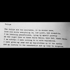 Itssylviaplath On Instagram I Am Nobody I Have Nothing To Do With Explosions Sylviaplath Plath Tulips Ariel Poetry Poem Sylvia Plath Words Poems