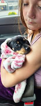 Anyone else's babies snuggle up with you at night 😍