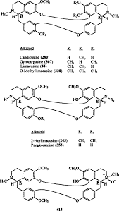 Image result for Anisocycla