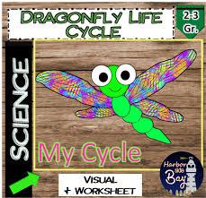 This year, learn about dragonflies with this hand drawn coloring page and lifecycle activity. Dragonfly Life Cycle Made By Teachers