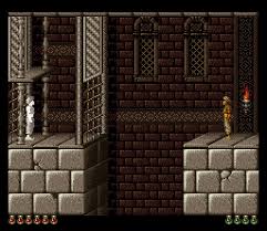 Apex garden universal 10' x 12' gazebo replacement mosquito netting (mosquito net only) $79.95. Prince Of Persia Snes Online Game Retrogames Cz