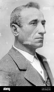 Lagartijo hi-res stock photography and images