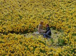 Big Fish Dir Tim Burton Big Fish Movie Big Fish Movies