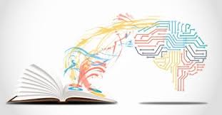 كيف تؤثر البيئة على أسلوب الكاتب؟