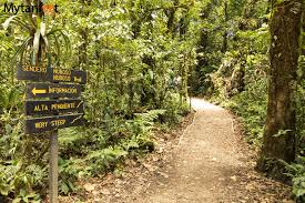 We did not find results for: Plan Your Trip To The Monteverde Cloud Forest Reserve