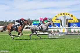 170 Jangles Stock Photos, High-Res Pictures, and Images