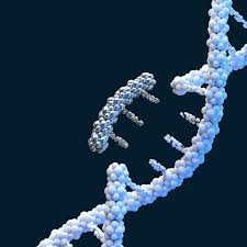 Draft pesan yang anda simpan. The Bio Revolution Innovations Transforming Economies Societies And Our Lives Mckinsey