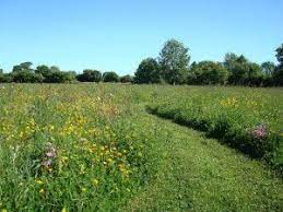 Pin On Land Storage