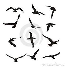 Bird In Flight Silhouette Birds Royalty Free Stock Images Image 5147419 Flying Bird Silhouette Illustration Bird Silhouette