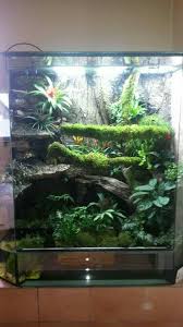 Vivarium Vivarium Reptile Terrarium Vivarium Frog Terrarium