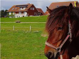 3, 0.3 miles from the center of bayrischzell. Sonnenblick Ferienwohnungen Insel Baltrum