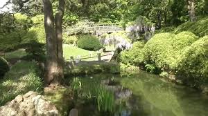 The japanese tea garden in golden gate park is home to a few fantastic stories. Coronavirus Shelter In Place Offers Rare Opportunity To Revitalize Golden Gate Park S Japanese Tea Garden Abc7 San Francisco