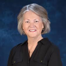 Chime Travelers (5 book series) Kindle Edition