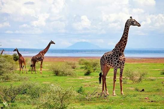 Natural landscape inspiration for a multi-day Tanzania safari
