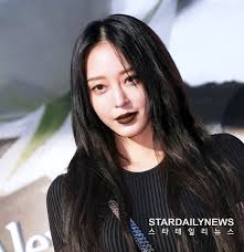 스타데일리뉴스 모바일 사이트, [공식] 한예슬 측, 김용호 및 악플러들 고소 예정