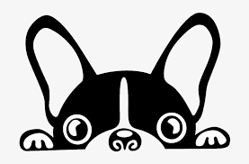 Worldwide shipping available at society6.com. Download Boston Terrier French Bulldog Brazilian Terrier Puppy Perro Bulldog Frances Dibujo Png Image With No Background Pngkey Com