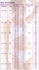 42 Proper Bust In Size Chart