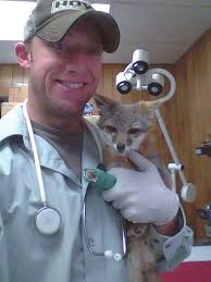 Animal Geography News