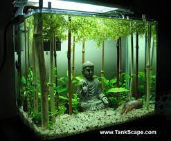 Free shipping on orders over $25 shipped by amazon. Natural Looking Betta Tanks Have This Ornament Which Could Work With The Style Above Cool Fish Tanks Betta Fish Tank Small Fish Tanks