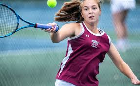 Image result for Tarenna leonardii