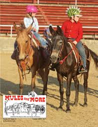 American saddlery and big horn saddlery have hand made close to a million saddles since the 1960's! October 2019 Issue Of Mules And More Magazine By Mules And More Magazine Issuu