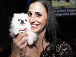 People and their pets attend annual PAWS Chicago party