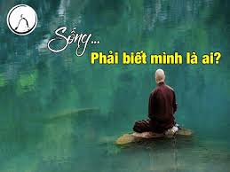 Káº¿t quáº£ hÃ¬nh áº£nh cho hinh anh danh ngon cuoc song