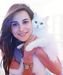 كنت بكري نسمع مماتي الله يرحمها تقول القطوس بسبعة ارواح كنت نسخايلها تقصد  الي القطوس يطيح يجي واقف مايموتش بسهولة و شي ماياذيه اما طلعت غالطة ...  اليوم عرفت الي القطوس بسبعة