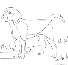Realistic Dog Coloring Pages Printable Dog Coloring Page Puppy Coloring Pages Beagle Colors You can print it out and teach your kid using crayons to color it.