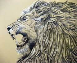 When it comes to lioness tattoos, the tattoo can also. For My Recent Project 3 Lion Tattoo Design Lion Sketch Lion Art