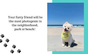 Give your furbaby an instant lift and a dose of cuteness overload and make them their very own crochet dog bandana. Amazon Com Sun S Out Tongue Out Yellow Dog Bandana Funny Bandana Dog Scarf Pet Accessories For Dogs Puppies And Pets Pet Supplies