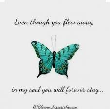 Accept that you cannot control grief. Coming Up To My Dad S Anniversary 23 11 15 X Griefquotes Grief Quotes Cousin Butterfly Quotes Quotes Grief Quotes
