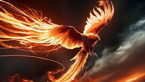 phoenix