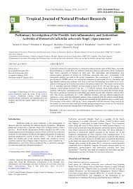 Image result for Callichilia