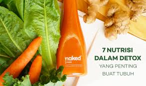 .sendiri.obat yang di sediakan dalam video ini tidak boleh. 7 Nutrisi Penting Yang Diperlukan Tubuh Setiap Hari Np