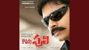 Amarudaina Sainikuda