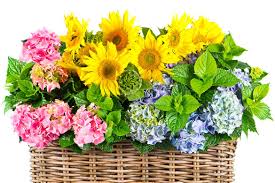 Types Of Flower Arrangement It comprises of a mixture of different kinds of flowers.