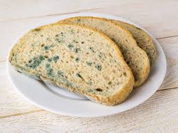 Effects Of Eating Mould Do You Know What Happens If You Accidentally Eat Mould