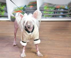 Zoo Zajac In Duisburg Ein Erlebnis Fur Die Ganze Familie Zoo Tierhandlung Vogelfutter Kaufen