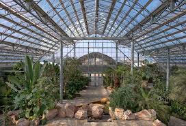 تم الإعجاب من mohammad behbehani. Botanical Garden Design Green Conceptors