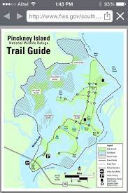 We did not find results for: Duck In Ibis Pond Picture Of Pinckney Island National Wildlife Refuge Hilton Head Tripadvisor