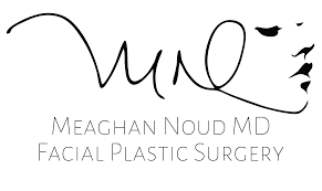 Medaesthetics training is based on years of experience in holding aesthetic training courses in both group and private settings. About Noud Facial Plastic Surgery Meaghan Noud M D