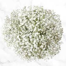 Bulk Flowers Costco