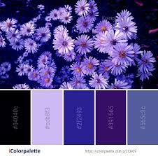Color Palette Ideas Icolorpalette Colors Inspiration Graphics Design Inspiration Beautiful Colorp Purple Color Palettes Color Palette Color Inspiration