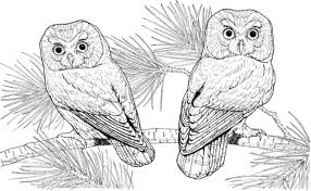 Check spelling or type a new query. Pin On Zentangle Art