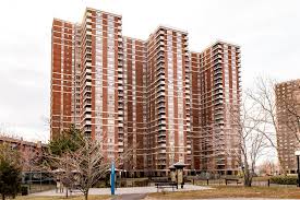Jak usunąć kleszcza ze skóry psa? Co Op City For Affordability And Open Spaces The New York Times