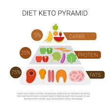Keto Diet Pyramid Download Free Vectors Clipart Graphics